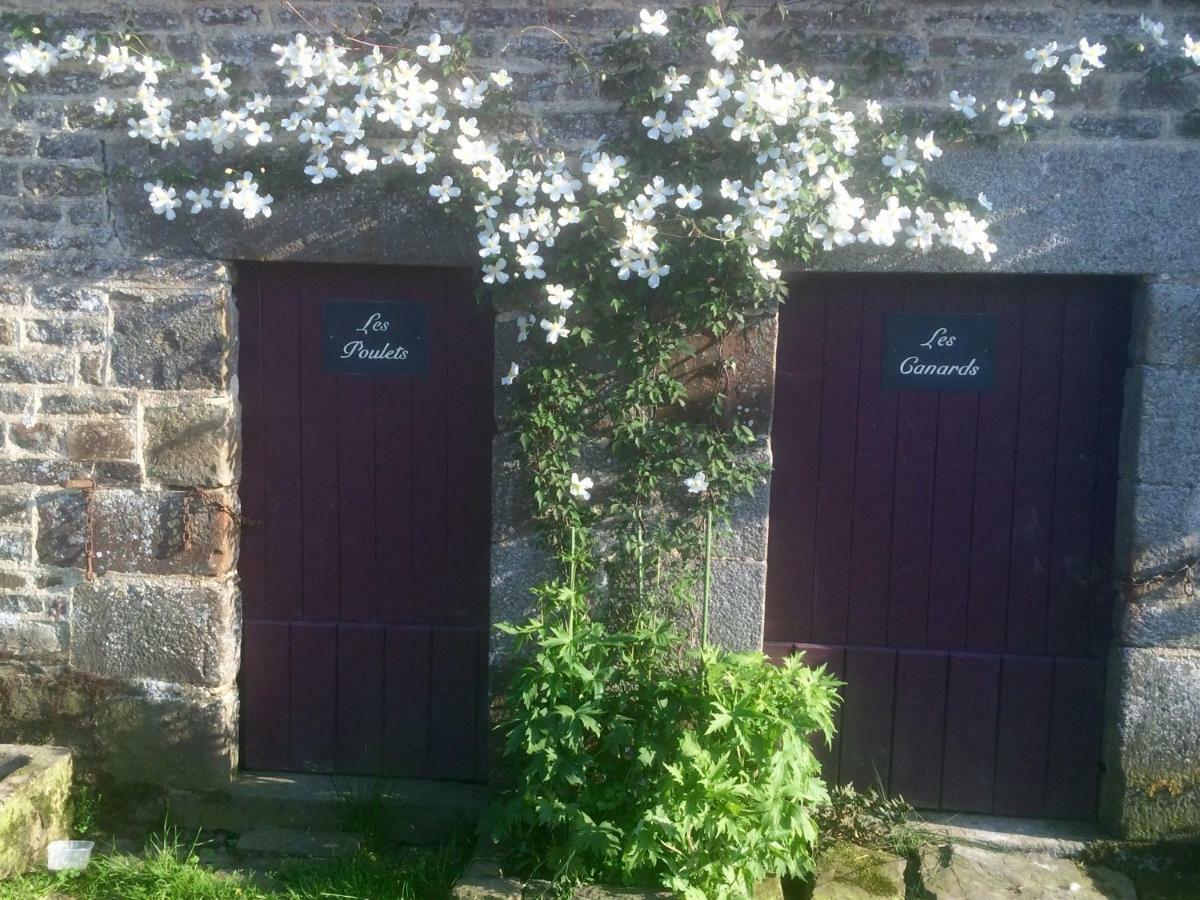 La Crepelliere Bed and Breakfast Villedieu-les-Poëles Eksteriør billede